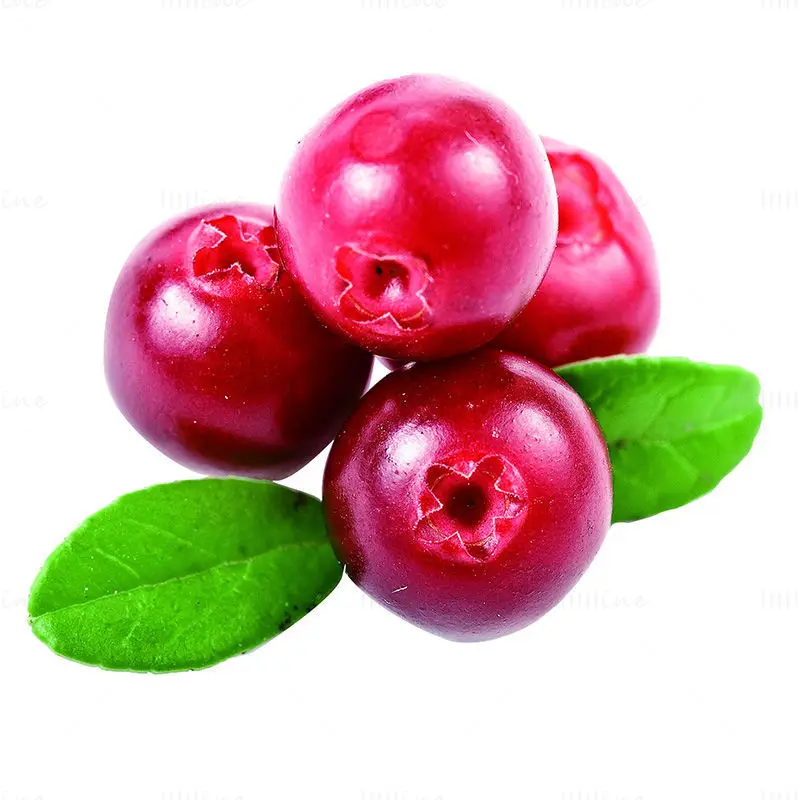 Cranberry-foto