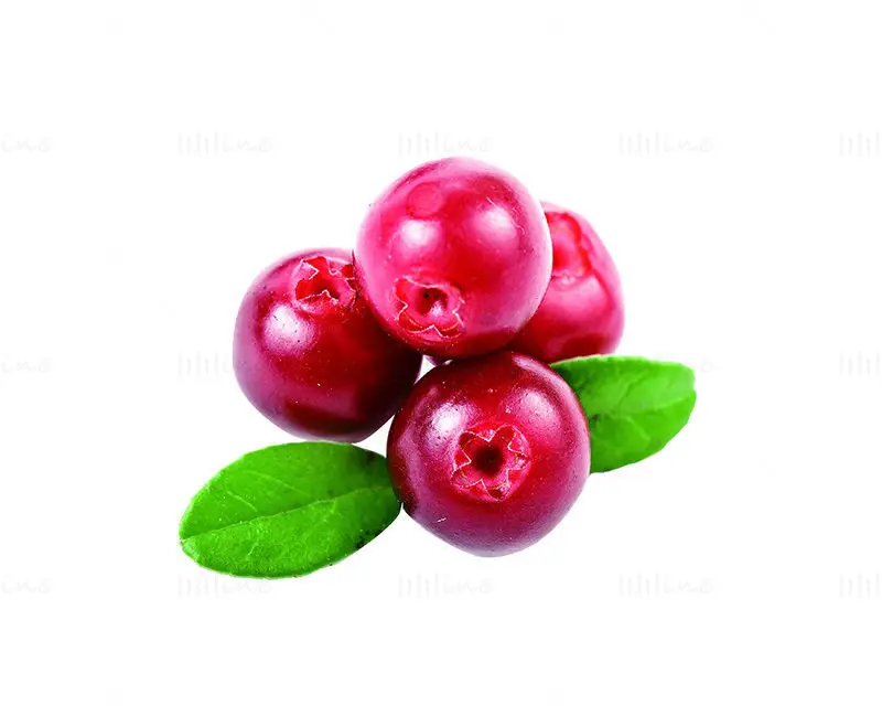 Cranberry-foto