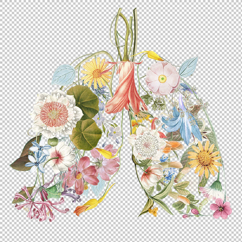 Creative flower lung pattern