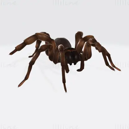 Creepy Spider 3D-utskriftsmodell