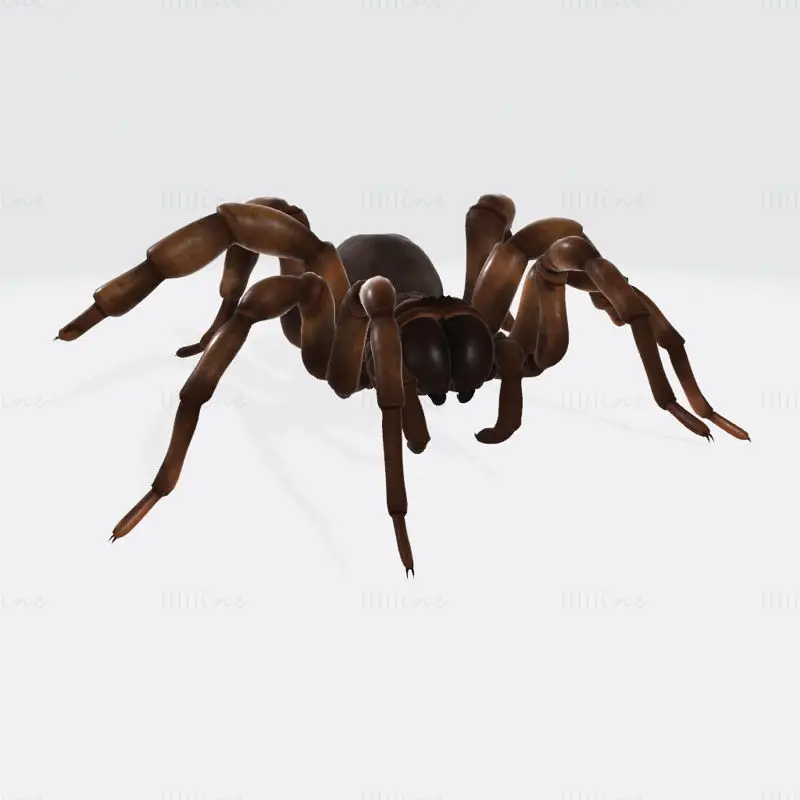 Modèle d'impression 3D d'araignée effrayante