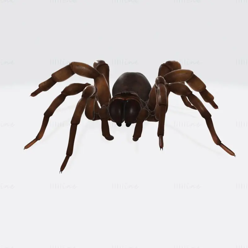 Gruselige Spinne 3D-Druckmodell