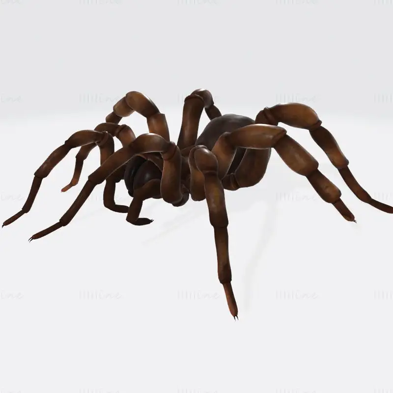 مدل پرینت سه بعدی Creepy Spider
