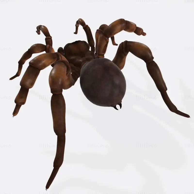 مدل پرینت سه بعدی Creepy Spider