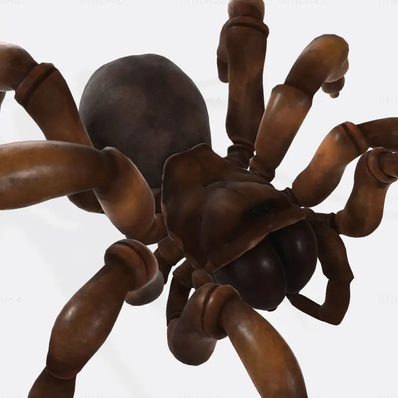Creepy Spider 3D Print Model
