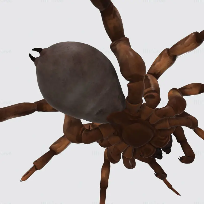 Modèle d'impression 3D d'araignée effrayante