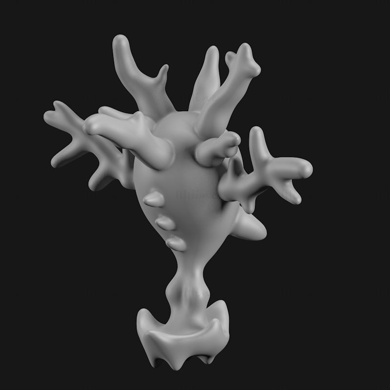 Cursola 3D tiskový model STL