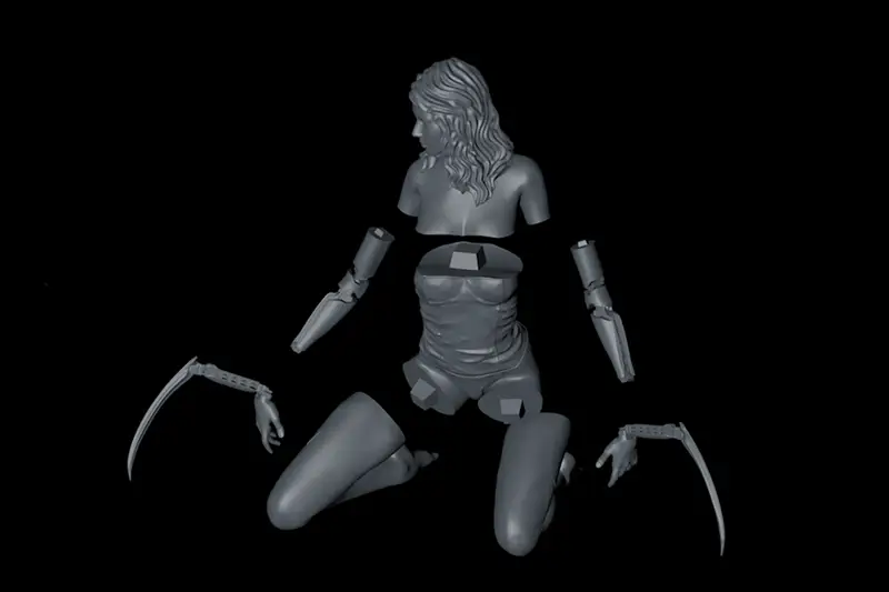 Cyberpnk 2007 Girl Figure 3D Print Model STL