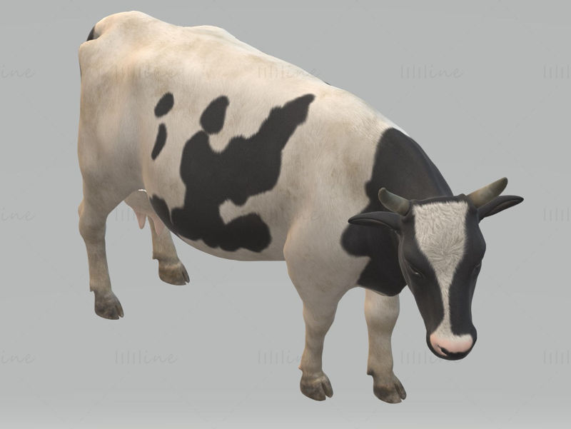 Dairy Cow 3D Model Ready to Print