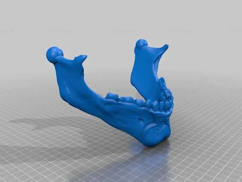 达斯·摩尔骷髅头盔 3D 打印模型 STL