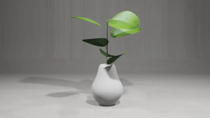 Plantas Decorativas Modelo 3D