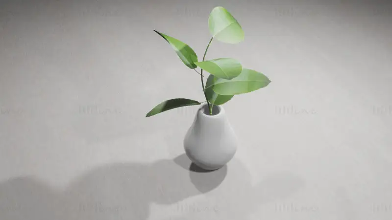 نموذج نباتات الزينة ثلاثي الأبعاد