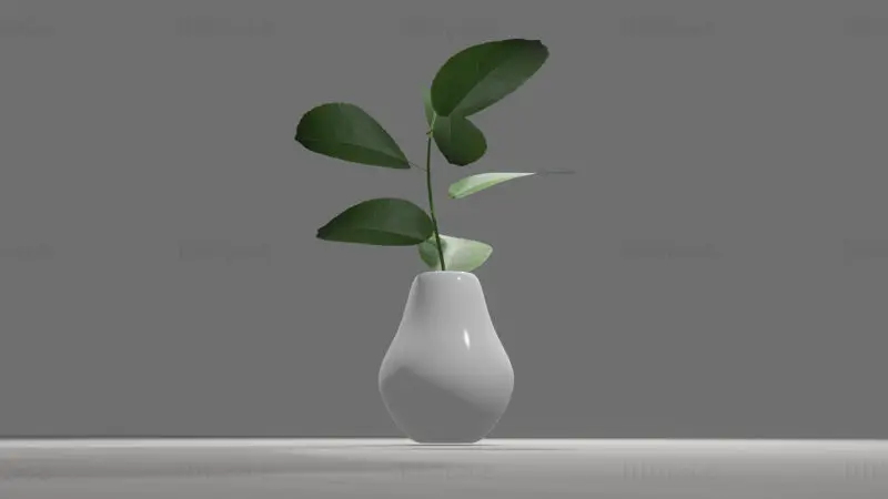 Decorative Plants 3D Model