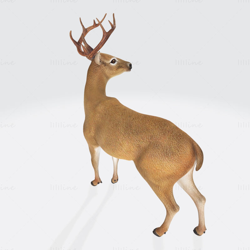 Deer Statue 3D Model Ready to Print
