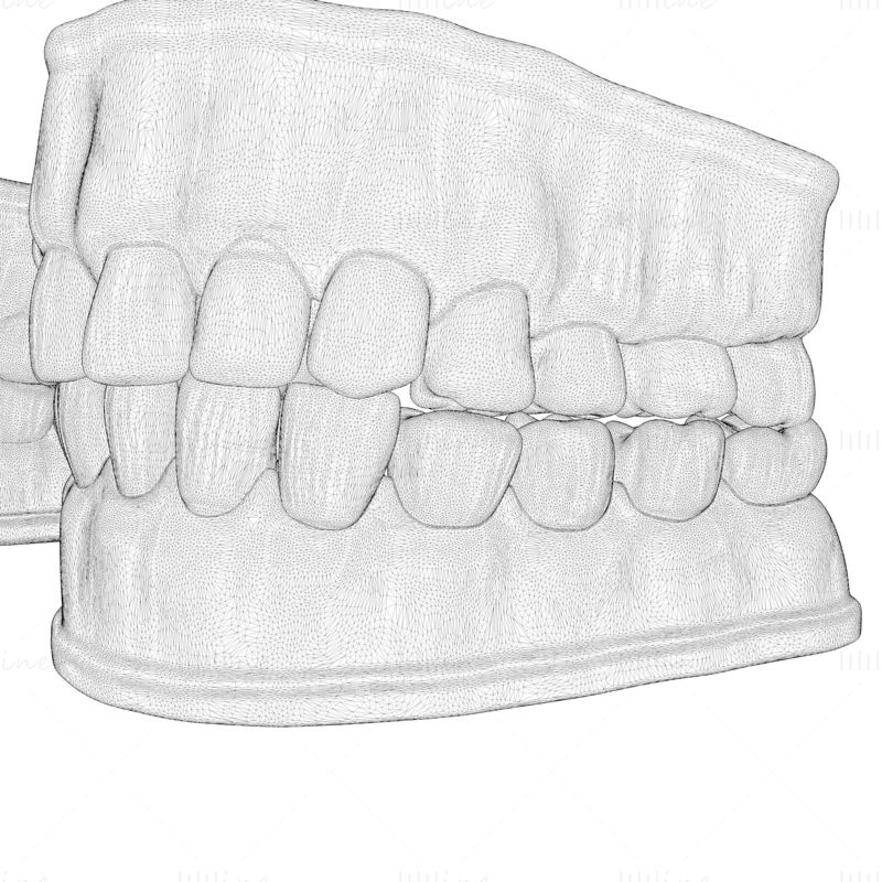 Dentures Mold 3D Model