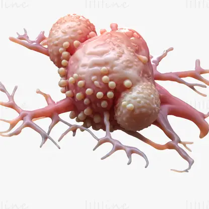 Detailliertes 3D-Modell eines Krebszelltumors