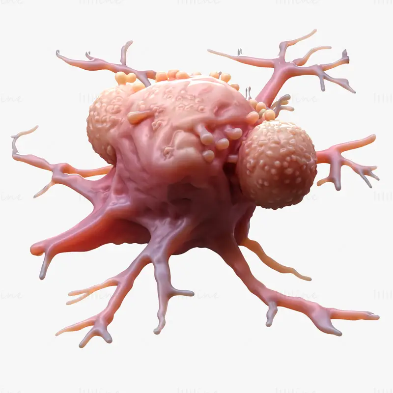 Detailní 3D model nádoru rakovinných buněk