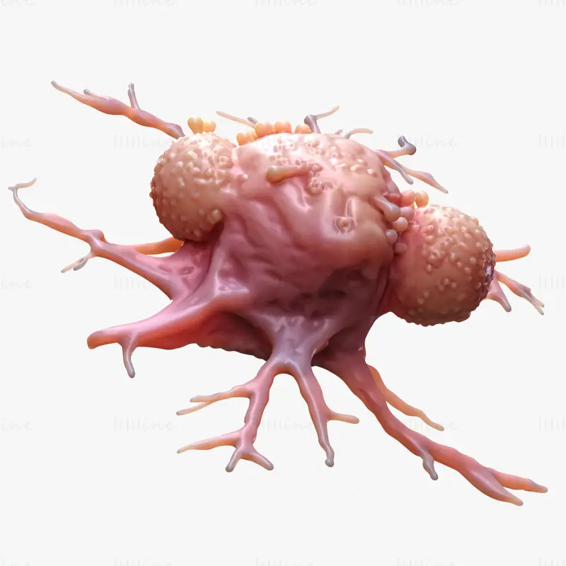 Detailní 3D model nádoru rakovinných buněk