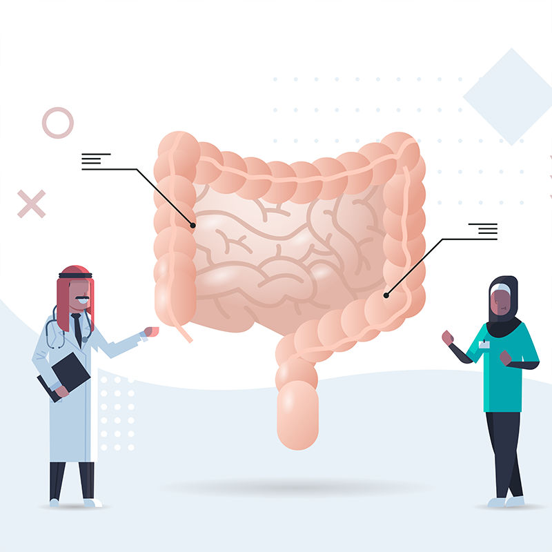 Digestive system research vector illustration