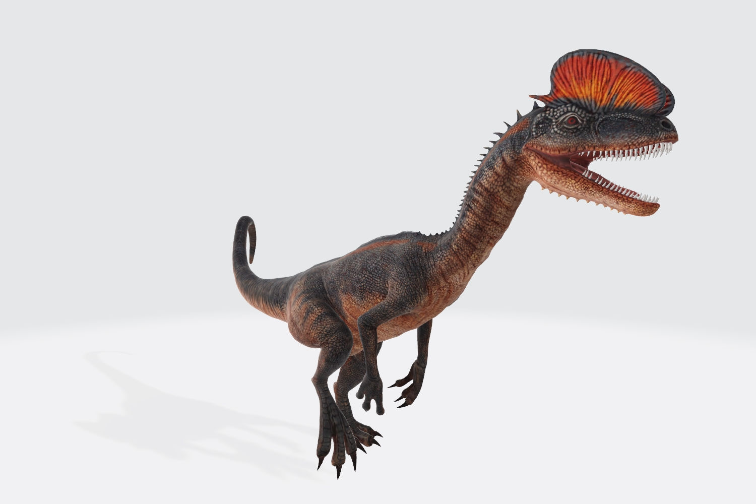 Dilophosaurus Dinosaur Modelo 3D Listo Para Imprimir