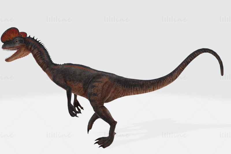 Dilophosaurus Dinosaur 3D Model Ready to Print