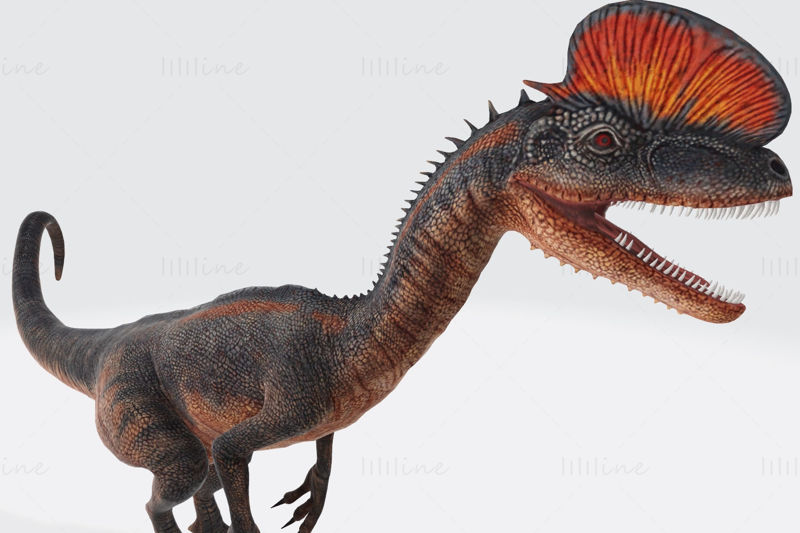 Modelo 3D Dilophosaurus Dinosaur pronto para imprimir