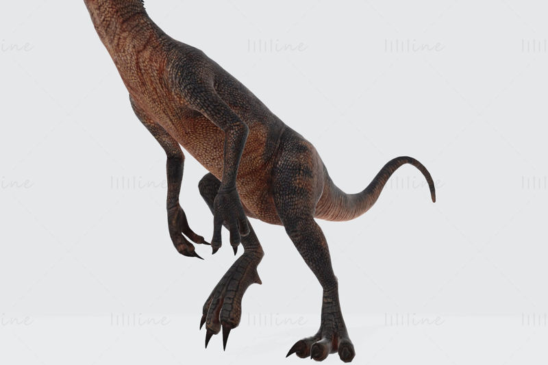 Dilophosaurus Dinozor 3D Modeli Yazdırmaya Hazır
