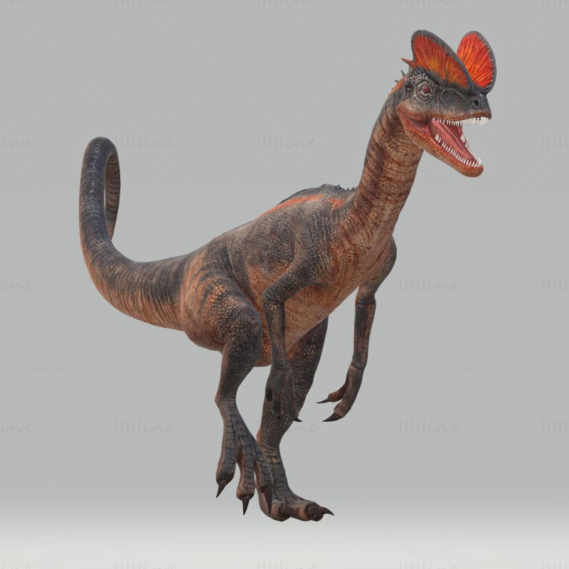 Dilophosaurus Dinozor 3D Modeli Yazdırmaya Hazır
