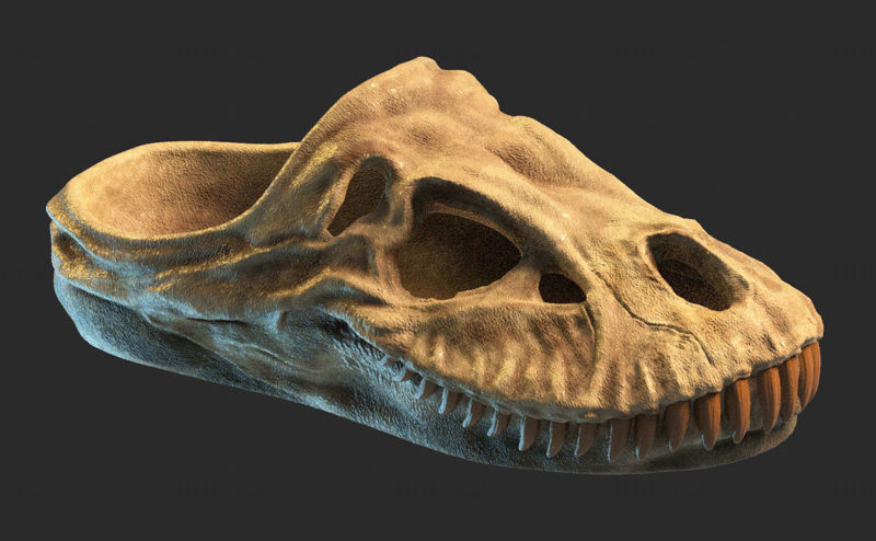 恐龙化石凉鞋3d打印模型STL