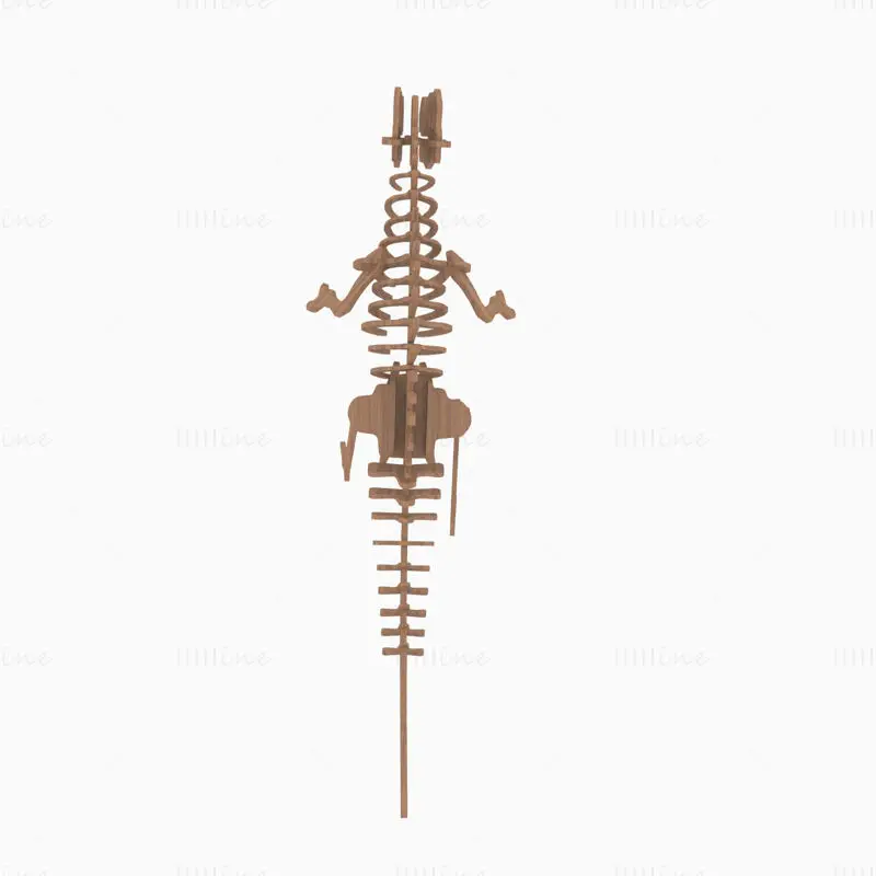 Dinosaurierskelett 3D-Modell