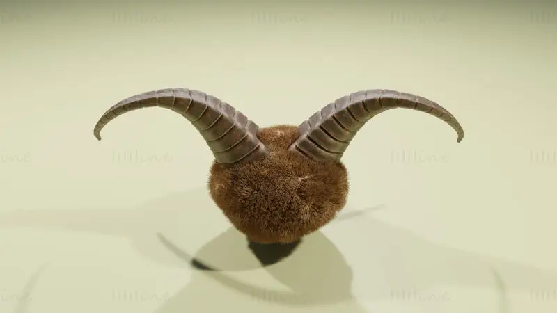 Display Horns Statue 3D Model