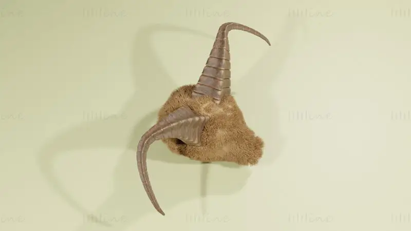 Display Horns Statue 3D Model