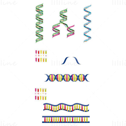 DNA and RNA vector