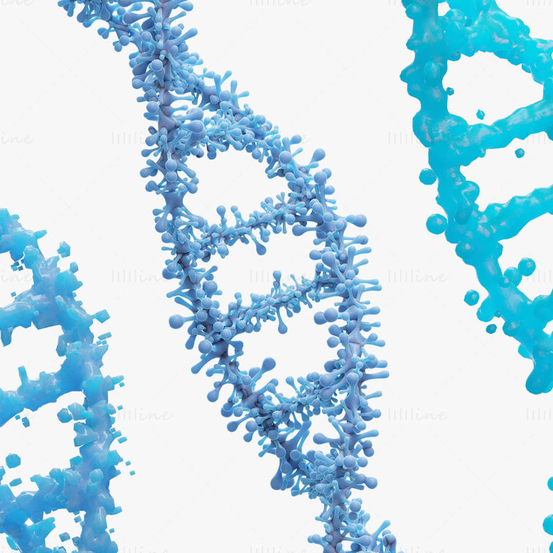 DNS genetikai molekula 3D-s modell
