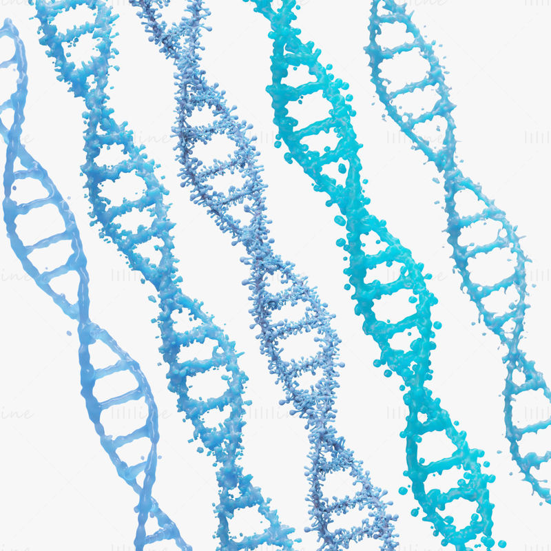 DNA Genetic Molecule 3D Model
