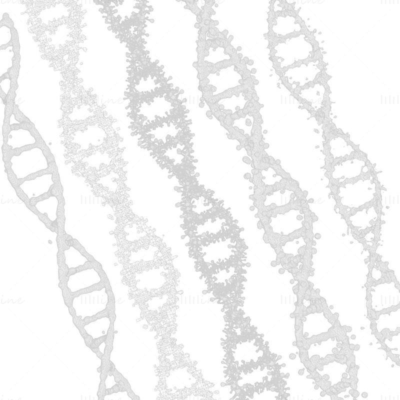 DNA遺伝分子3Dモデル