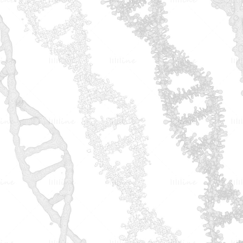DNA Genetic Molecule 3D Model