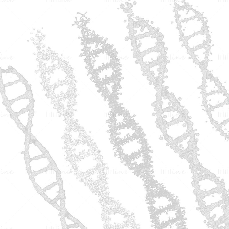 3D модел на ДНК генетична молекула