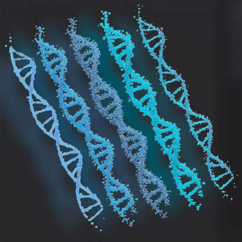 DNA medical illustration PNG