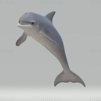 Delfinskulpturen 3D-Modell zum Drucken bereit