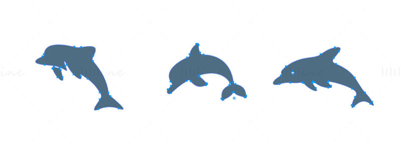 Dolphin vector icon logo