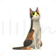 Domestic Shorthair Cat 3D Model Ready to Print