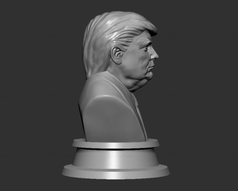 Modelo de impresión en 3D de Donald Trump