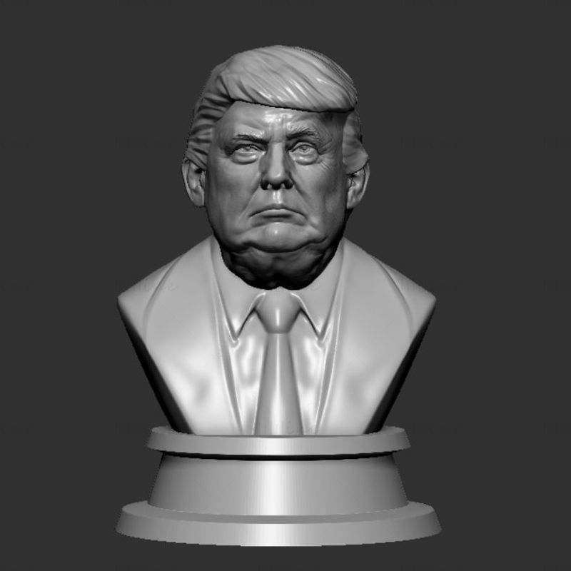 Modelo de impresión en 3D de Donald Trump