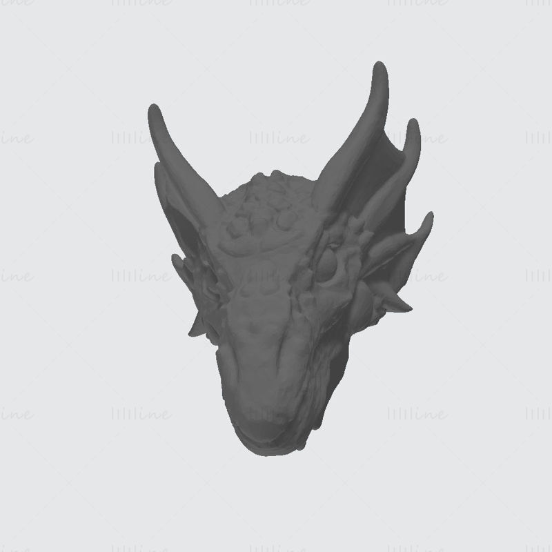 Model pro 3D tisk na stěnu Dragon Head