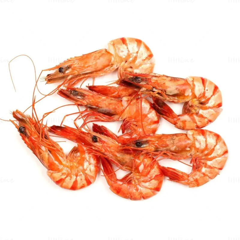 Image de crevettes séchées sur fond blanc