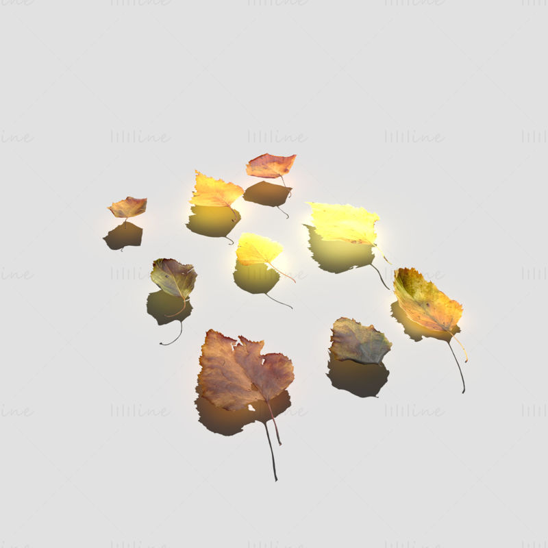 Paquete de modelo 3D de hojas secas de abedul