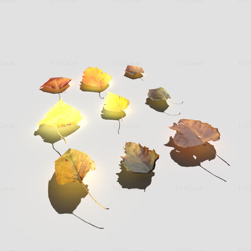 Dry Birch Leaves 3D Model Pack