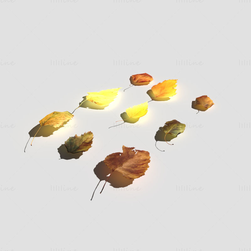 Dry Birch Leaves 3D Model Pack