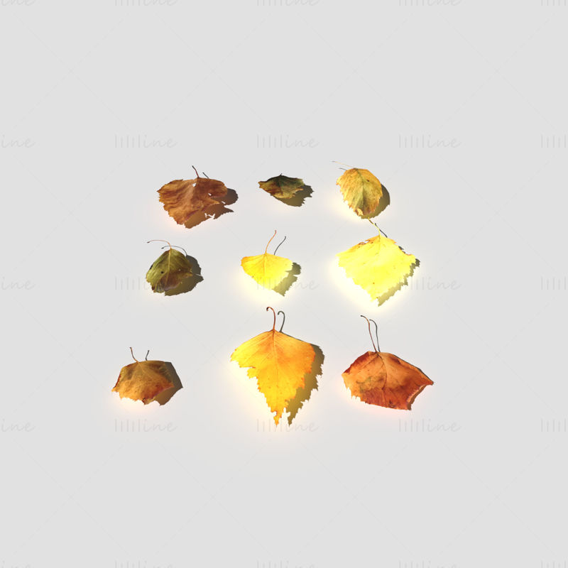 Paquete de modelo 3D de hojas secas de abedul